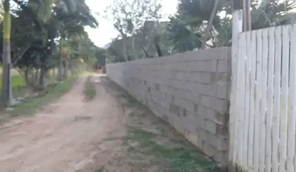 Chácara com 600 tipos de Plantações pelo terreno! Com 5 dormitórios em Canelinhas/SC.