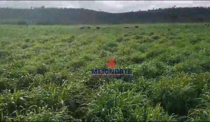 Fazenda com 1 dormitório à venda, 10000 m² por R$ 37.400.000,00 - Centro - Bom Jesus das Selvas/MA