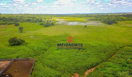 Fazenda com 1 dormitório à venda, 99000000 m² por R$ 24.750.000,00 - Centro - Morro Cabeça no Tempo/PI