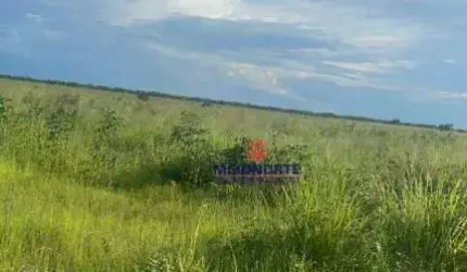 Fazenda com 1 dormitório à venda, 17153601 m² por R$ 17.160.000,00 - Área Rural - Floriano/PI