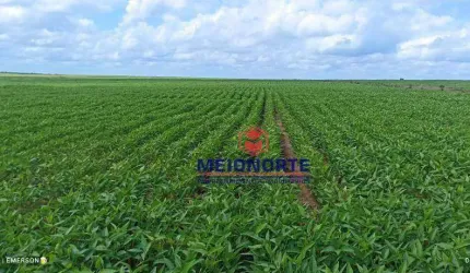 Fazenda com 1 dormitório à venda, 30250000 m² por R$ 100.000.000,00 - Santa Filomena - Santa Filomena/PI