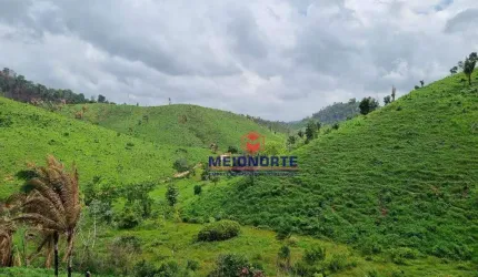 Fazenda à venda, 5480000 m² por R$ 4.000.000,00 - Centro - Alto Alegre do Maranhão/MA