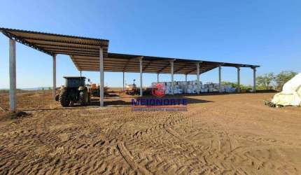 Fazenda com 1 dormitório à venda, 12390000 m² por R$ 24.780.000,00 - Centro - Matões/MA