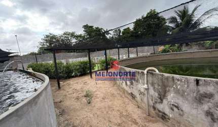 Fazenda com 1 dormitório à venda, 2600 m² por R$ 5.000.000 - Vila Maioba do Janipapeiro - Paço do Lumiar/MA