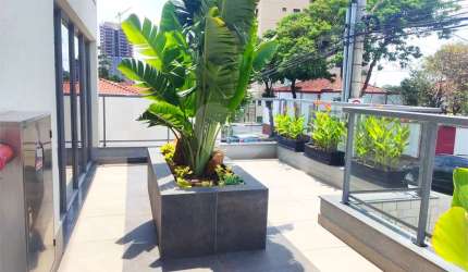 Apartamento com 3 quartos à venda em São Judas - SP