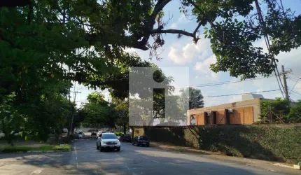 Terreno  em avenida à venda, 404 m² JARDIM DAS PAINEIRAS- Campinas/SP