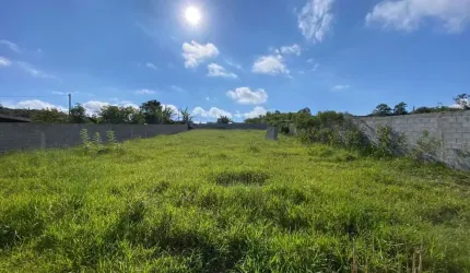 Terreno para Venda em Suzano, Jardim Nova Ipelândia