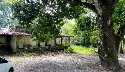 Sítio para venda com 6000 metros quadrados em Pirajuia - Jaguaripe - BA