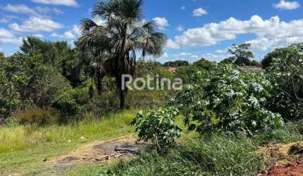 Terreno à venda, Nossa Senhora das Graças - Uberlândia/MG - Rotina Imobiliária