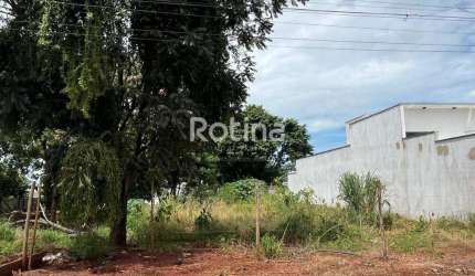 Terreno à venda, Cidade Jardim - Uberlândia/MG - Rotina Imobiliária