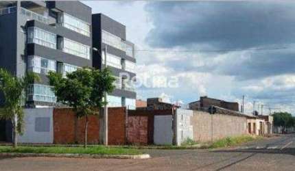 Terreno à venda, Segismundo Pereira - Uberlândia/MG - Rotina Imobiliária