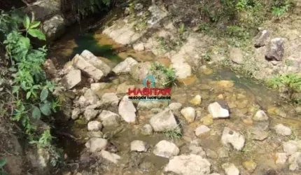Lindo sítio em Itaguara com escritura e registro, minha de água, vista maravilhosa...
