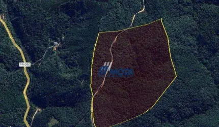 Ótima área a venda Campo Largo Com 11,8 alqueires ideal para quem busca área para compensação ambiental, chácara de lazer e investimentos,