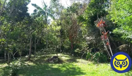 Lindo sítio com 20.000m2 na Vargem Grande