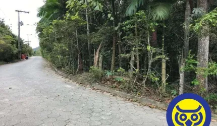 Lote/Terreno plano com 50.000m² - bairro Vargem Grande - Florianópolis SC