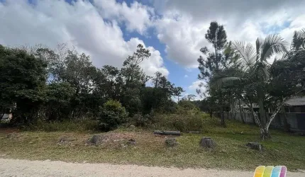 Terreno na gamboa