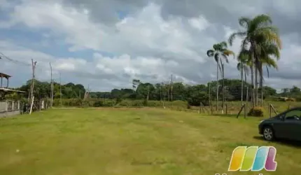 Terreno à venda, ervino, São Francisco do Sul, SC