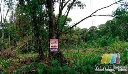 Terreno à venda, 9.000m² por R$ 400.000 - Acaraí - São Francisco do Sul/SC