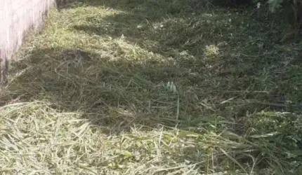 Terreno para Venda em Itanhaém, Vila Verde Mar