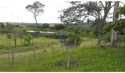 CHACARA Á VENDA COM 40 HECTARES