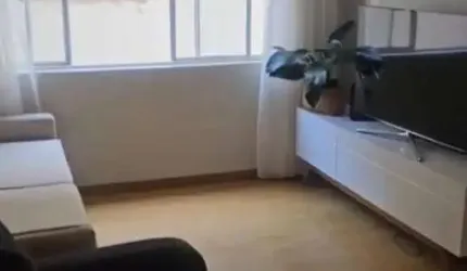 Apartamento com 2 dormitórios à venda, 73 m² por R$ 670.000,00 - Indianópolis - São Paulo/SP