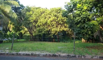 TERRENO A VENDA EM BUSCA VIDA