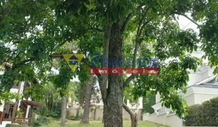 Terreno à venda em Morada dos Pássaros