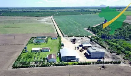 FAZENDA COM EXCELENTE PRODUÇÃO PRÓXIMA A PORTO SEGURO