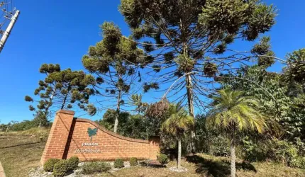 Terrenos Loteamento em Caldas