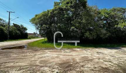 Terreno à venda, 387 m² por R$ 110.000,00 - Residencial São Luiz - Peruíbe/SP