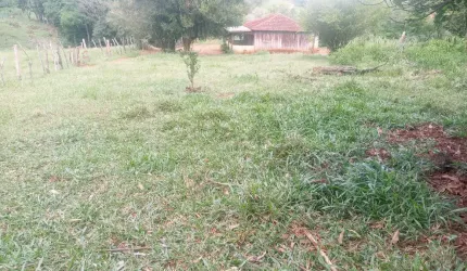 Lindo Sitio de 2,5 Alqueires / Alvorada - Poema / Norte do Paraná. R$ 375.000