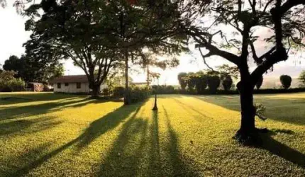 Chácara com 5 quartos, Jardim Santa Maria II - Campinas