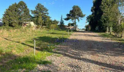 Terreno à venda, 1000 m² por R$ 350.000 - Colônia Mergulhão- São José dos Pinhais/PR