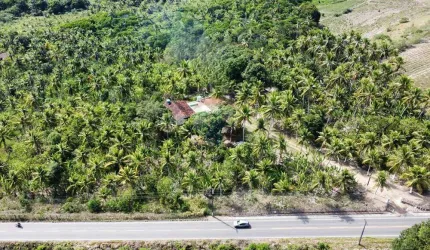 Onde Vida e Negócios Florescem Juntos