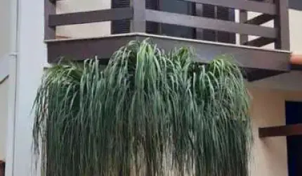 Casa em Condomínio para Venda em Rio das Ostras, Recanto, 2 dormitórios, 2 banheiros, 1 vaga