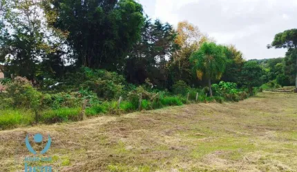 Oportunidade única. Terreno à venda, 2499 m² por R$ 1.272.000 - Santa Felicidade - Curitiba/PR