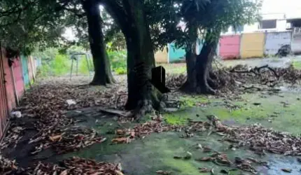 Lote à Venda no  Bairro Glória Belo Horizonte MG