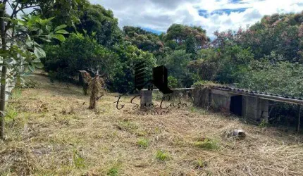 Lote/Terreno à Venda Chácara Cotia (Cabral) Contagem MG