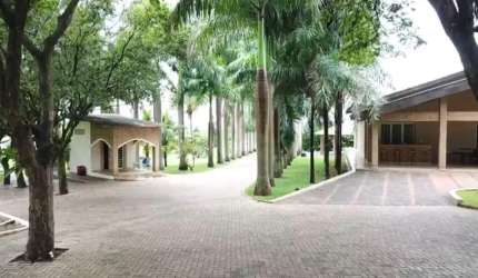 Sitio em Nipoã/SP. Com 5 Alqueires.