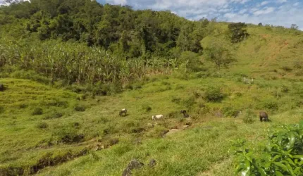 Fazenda à venda com 43 alqueires, Iguape - Guarapari ES
