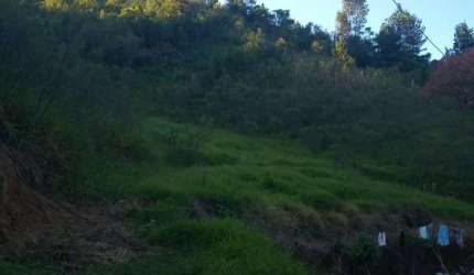 Sítio em Guapiara, 8 alqueires, casa, bom de água, topografia levemente caído.