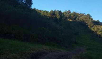 Sítio em Guapiara, 9,5 alqueires, casa simples, mangueira, bom de água.