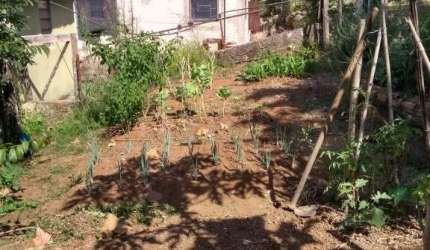 Chácara em Guapiara, 4.300 m², 2 casas, nascente.