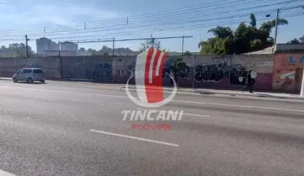 Oportunidade Única: Amplo Terreno Plano de 6.038 m² à Venda!