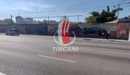Oportunidade Única: Amplo Terreno Plano de 6.038 m² à Venda!