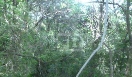 Terreno/Chácara  á venda no bairro Formosa em Alvorada RS.