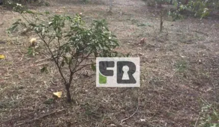 Terreno à venda, 2592 m² - Sitio São José - Viamão/RS