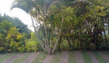 Terreno à venda em Atibaia/SP