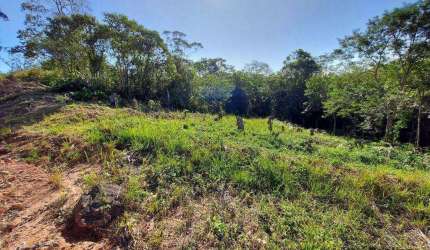Terreno à venda, 501 m² por R$ 169.106,29 - Caucaia do Alto - Cotia/SP