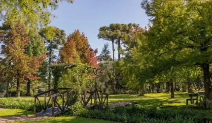 Casa em condomínio fechado com 5 quartos à venda na do Parque, 2, Parque Laje da Pedra, Canela por R$ 8.500.000